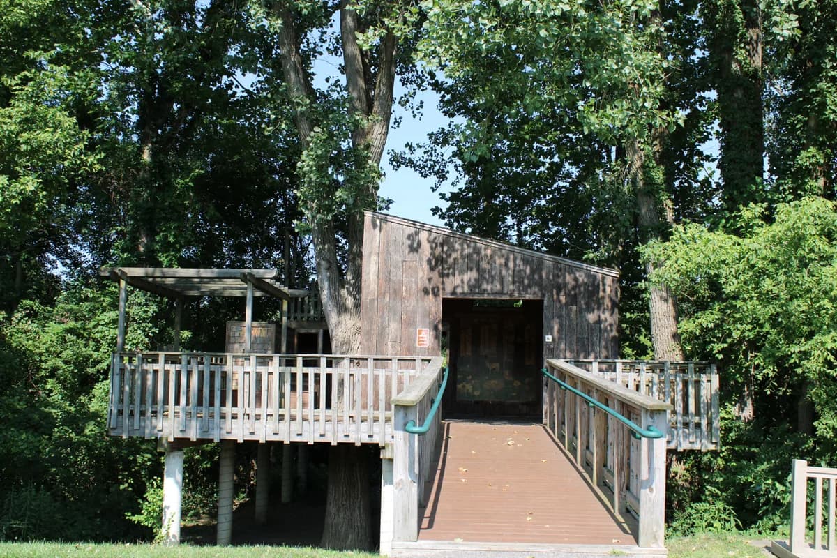 Imagen de ejemplo de BookNoFees: casa de madera en los árboles, entre troncos, con pasarela de madera y jardín verde