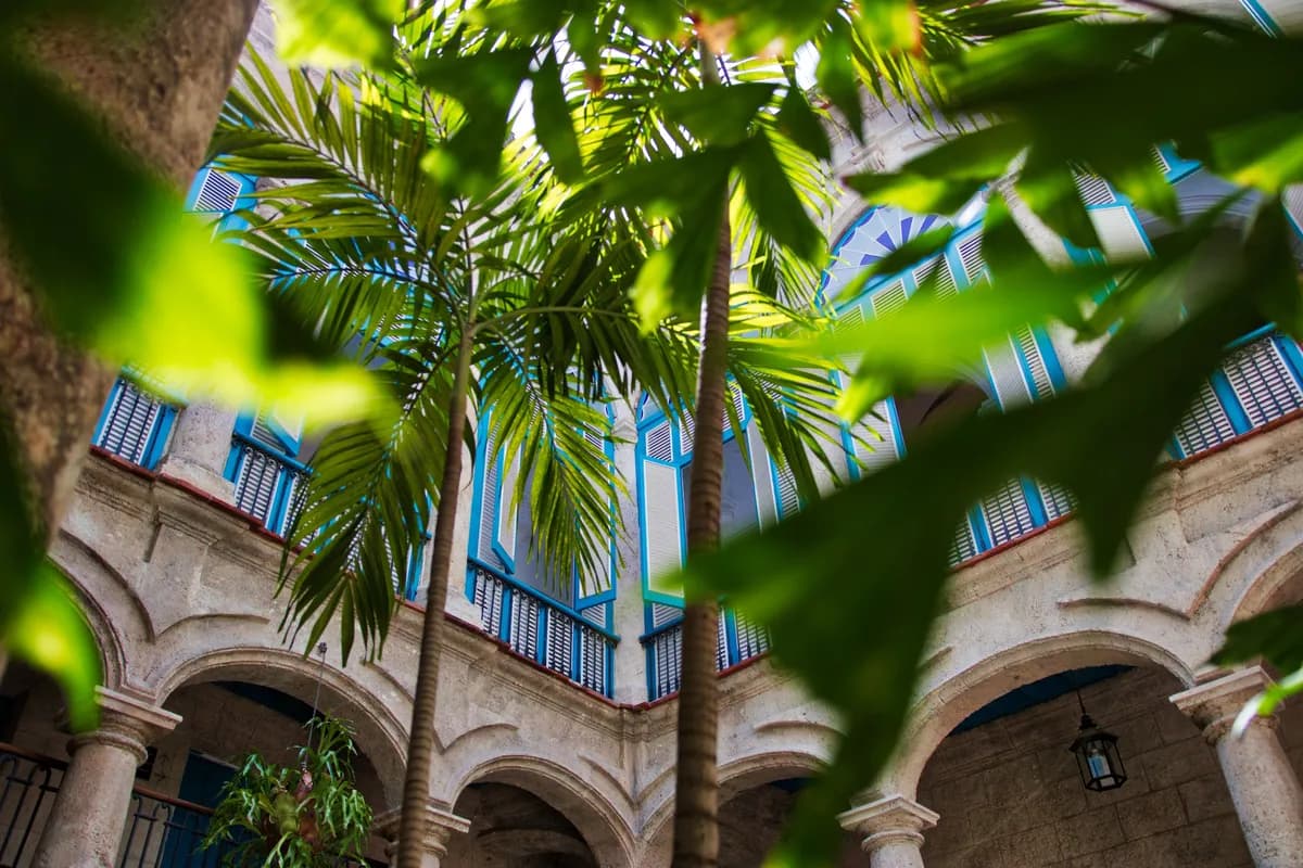 Imagen de ejemplo de BookNoFees: Patio tropical con palmeras y balcones históricos en Cuba