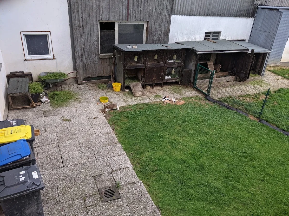 BookNoFees: Restaurante – Hof Kilbe – Bad Berleburg – Fiesta popular de Hof, foto 1