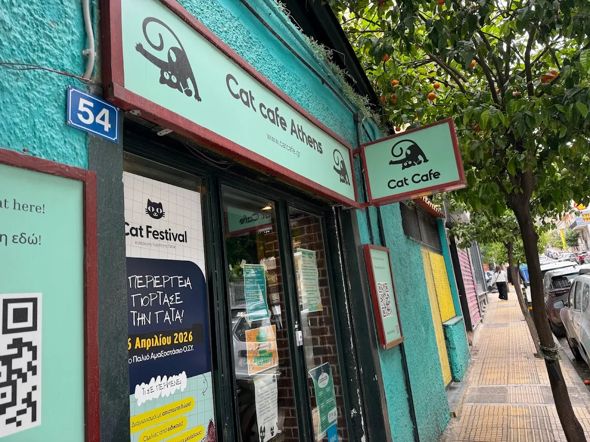 BookNoFees: Cafetería – Cat Cafe Athens – Athens – Café de gatos en Atenas, foto 1