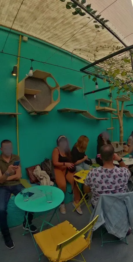 BookNoFees: Cafetería – Cat Cafe Athens – Athens – Café de gatos en Atenas, foto 3