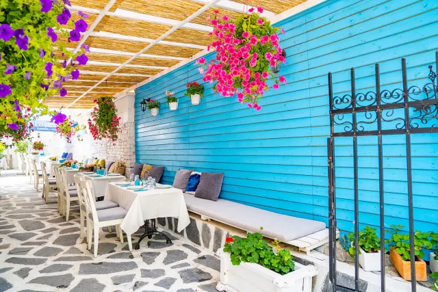 BookNoFees: Restaurante – Namoos Maxi – Sofia – El honor de Maxi, foto 2