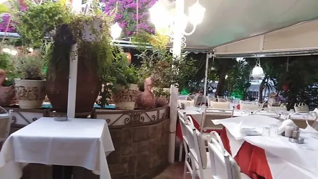 BookNoFees: Restaurante – ο Τάσος – Athens – Tásos, foto 3