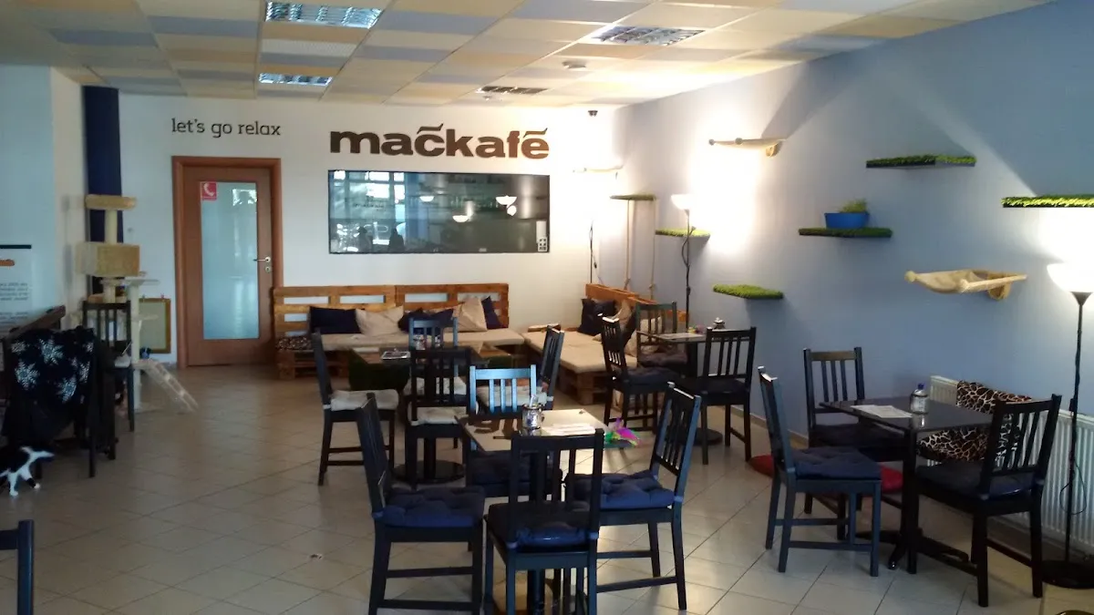 BookNoFees: Cafetería – Mačkafé klub – Bratislava – Club Mačkafé, foto 1