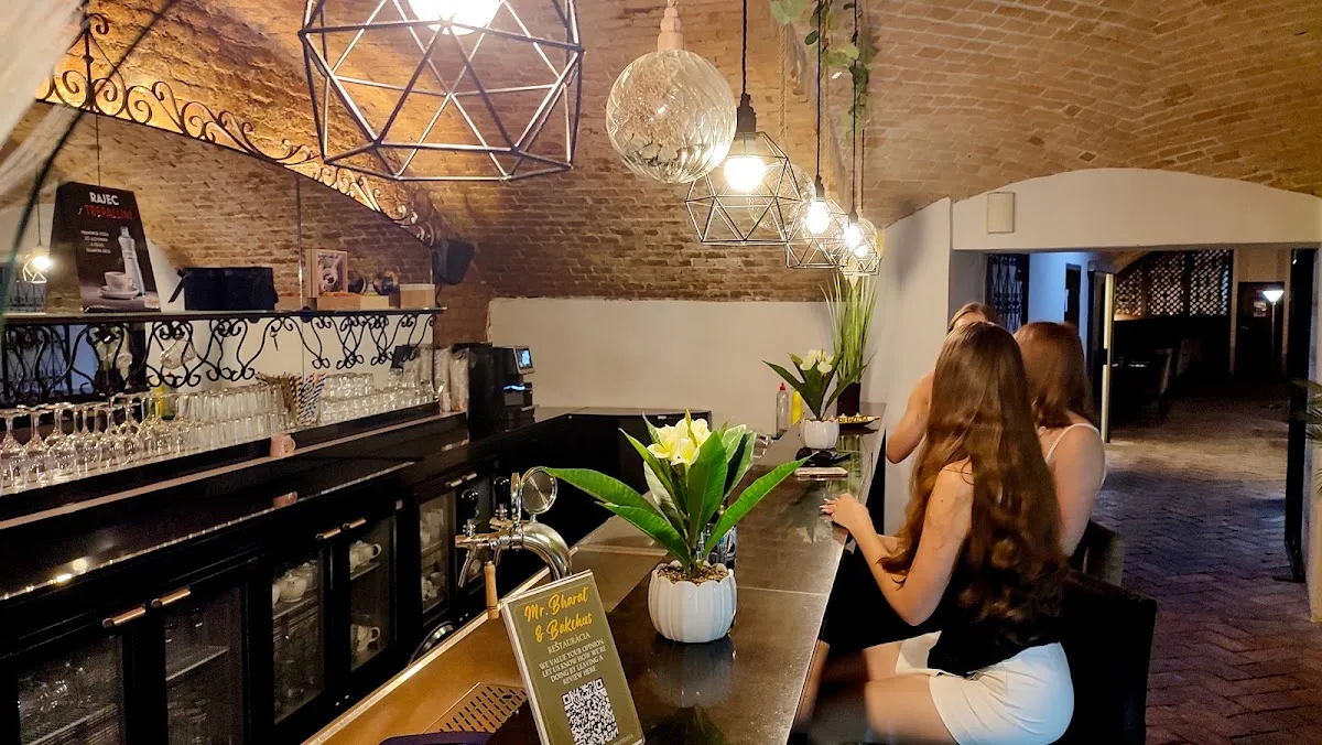 BookNoFees: Restaurante – Bharat & Bakchus – Bratislava – India y Baco, foto 1