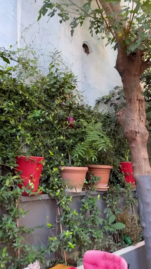 BookNoFees: Restaurante – Hidden Garden Sultanat – Istanbul – Sultanato del Jardín Oculto, foto 3