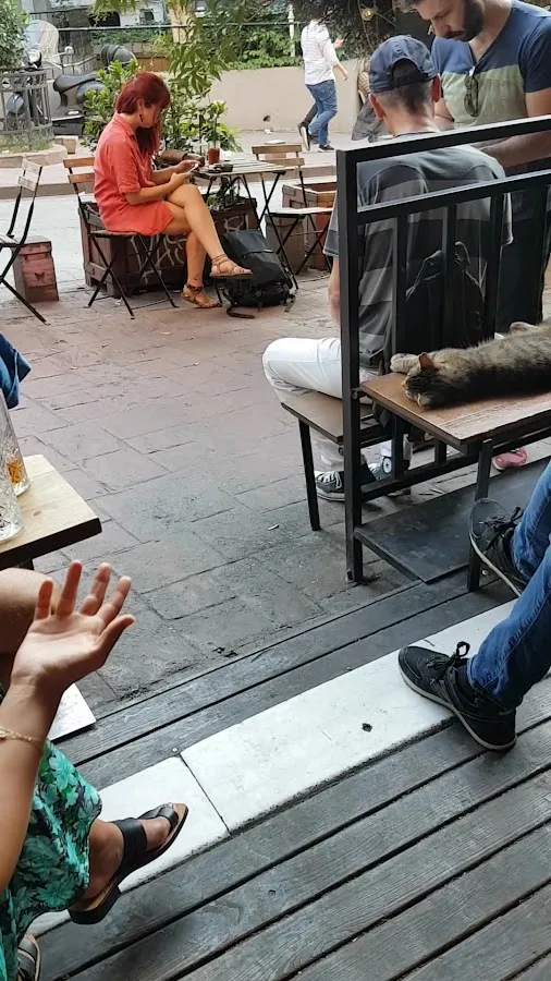 BookNoFees: Cafetería – Swedish Coffee Point – Istanbul – Swedish Coffee Point, foto 3
