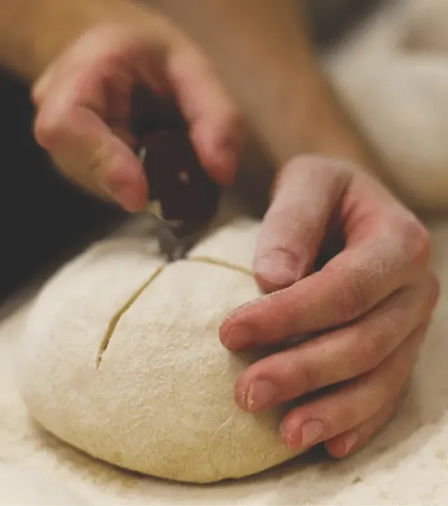 BookNoFees: Panadería – Triticum Micropanificio Agricolo – Rome – Triticum Micropanadería Agrícola, foto 3