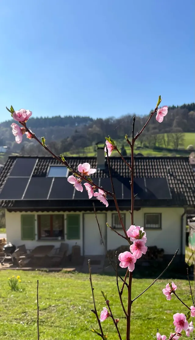 BookNoFees: Casa de vacaciones Allemühl: ¡una casa solo para ustedes! – Allemühl
