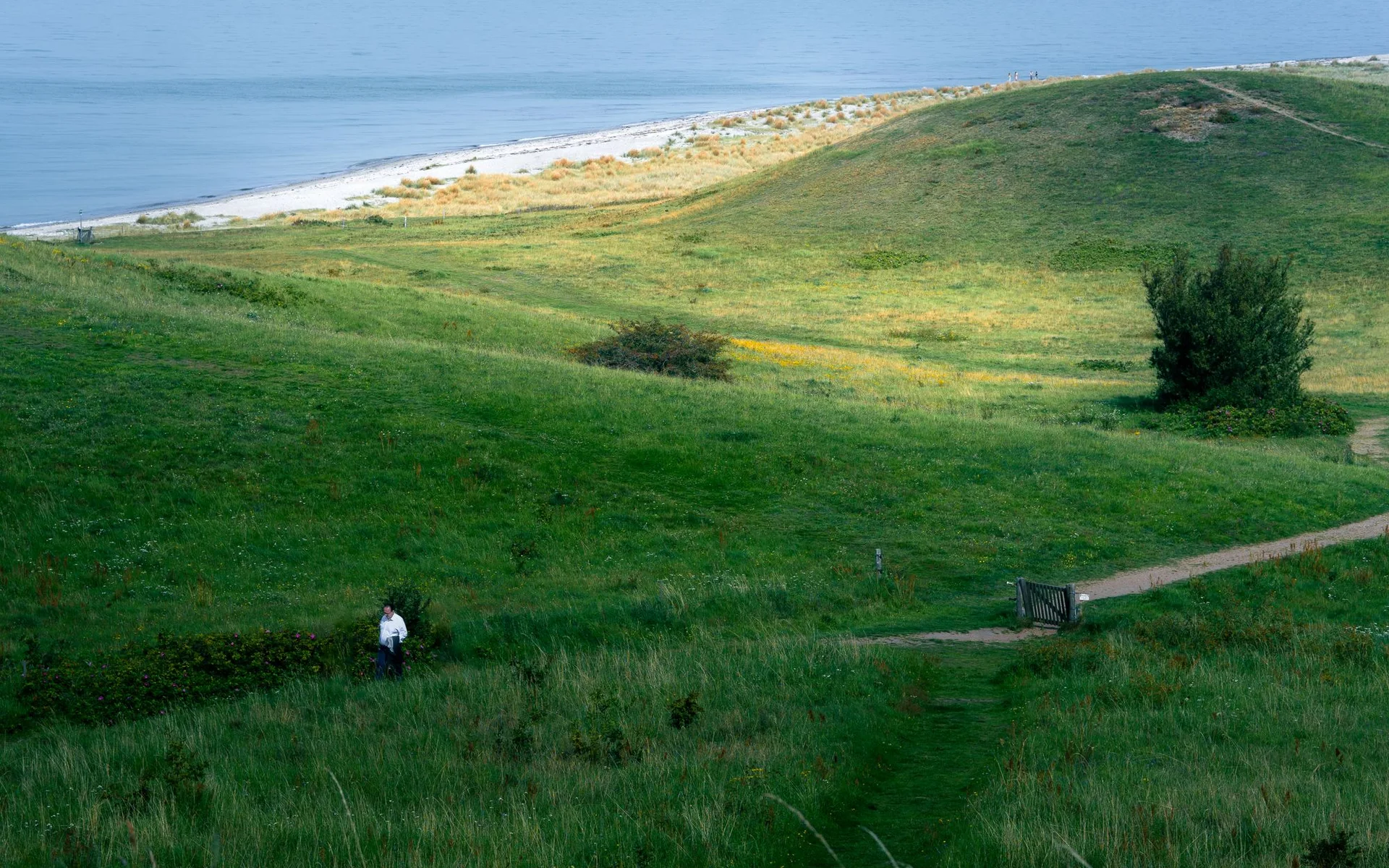 Colinas verdes y costa en la isla danesa de Samsø