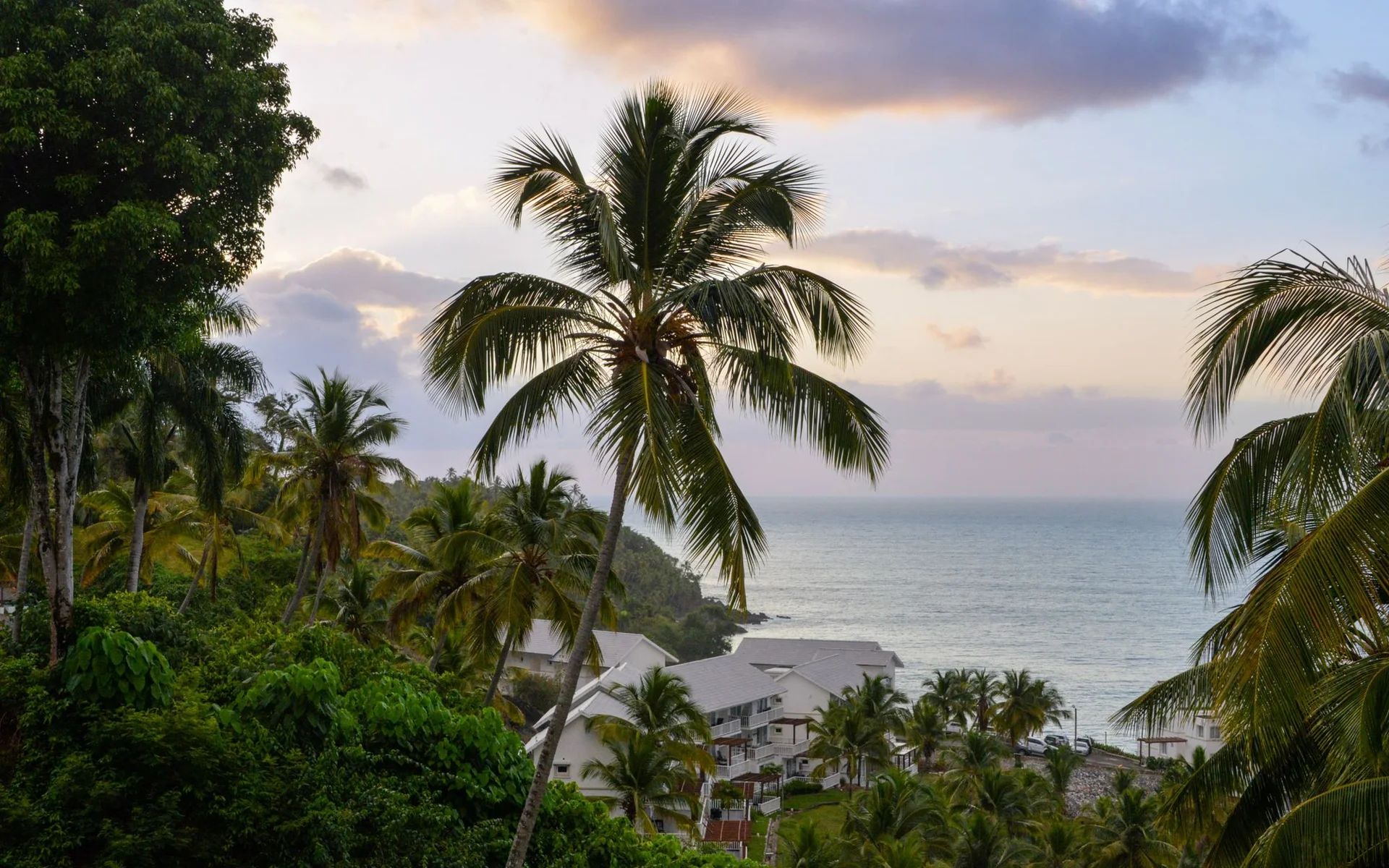 Palmeras junto al mar en Samaná al atardecer