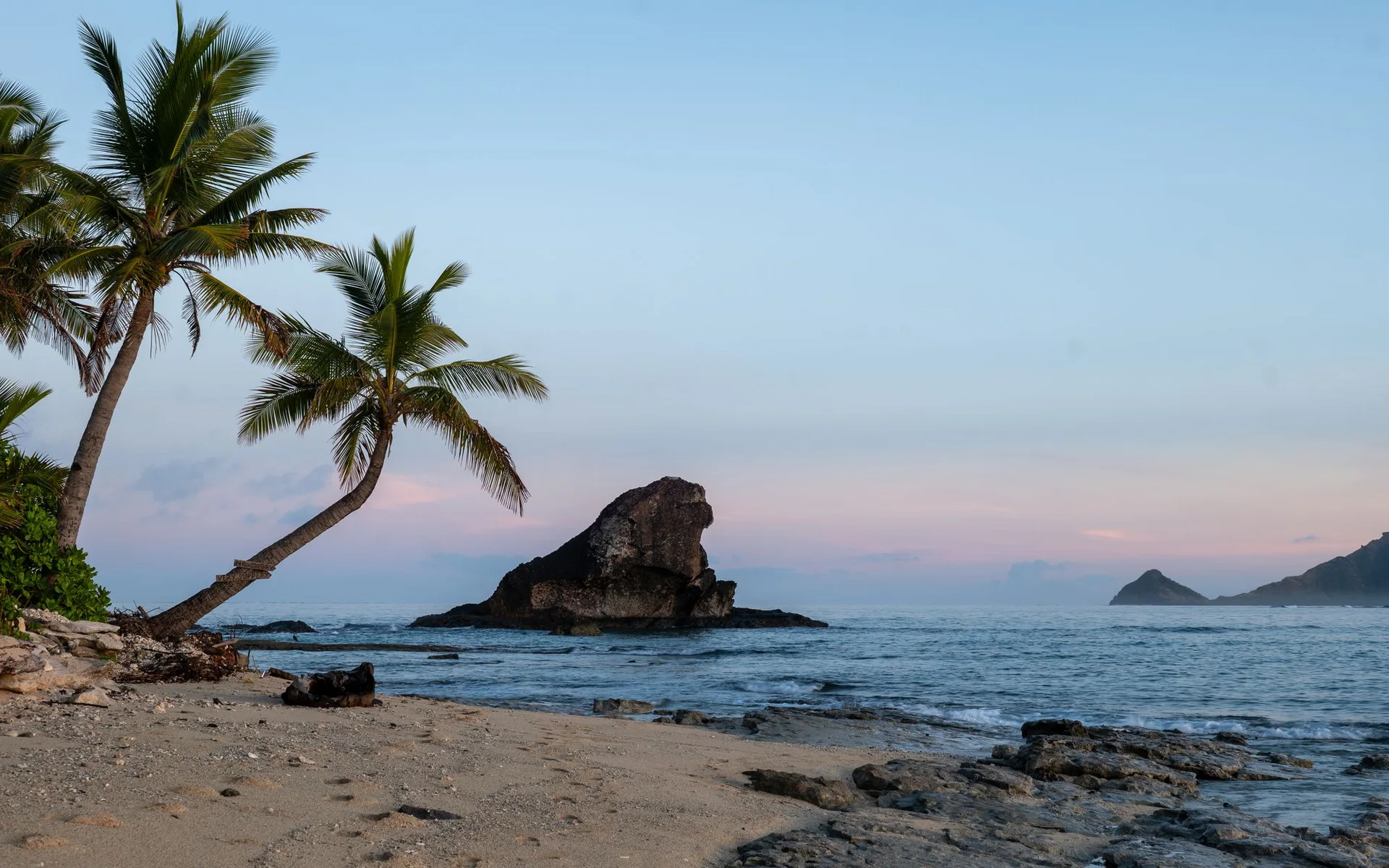 Palmeras en la playa de la isla de Kuata al amanecer